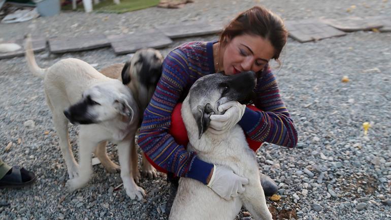 Köpeklerin mutlu olduğu köy