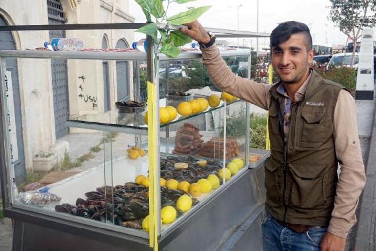 Midyenin içinden çıkanı duyunca çok şaşıracaksınız