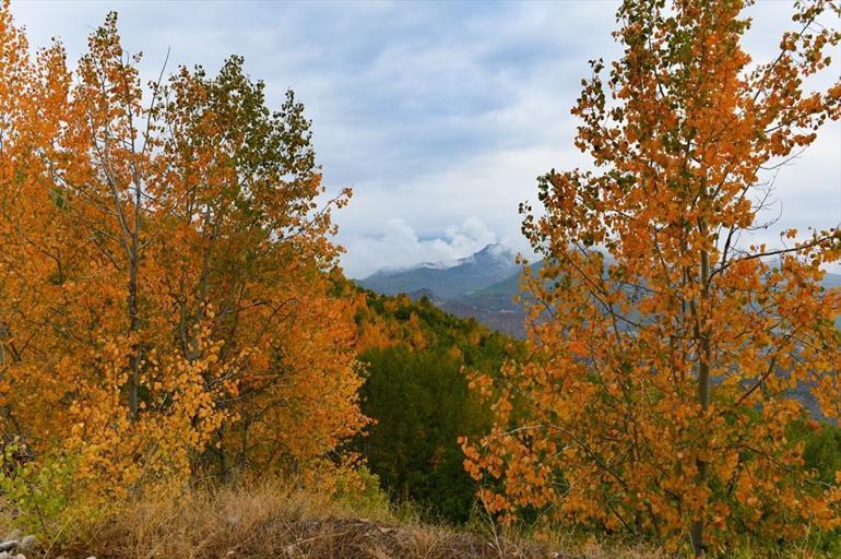 Tunceli ormanları sonbahar renkleriyle bir başka güzel