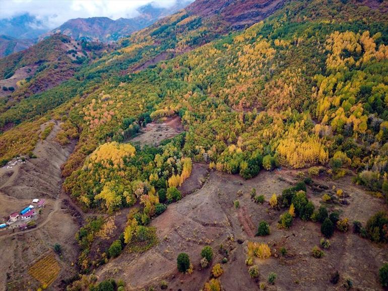 Tunceli ormanları sonbahar renkleriyle bir başka güzel