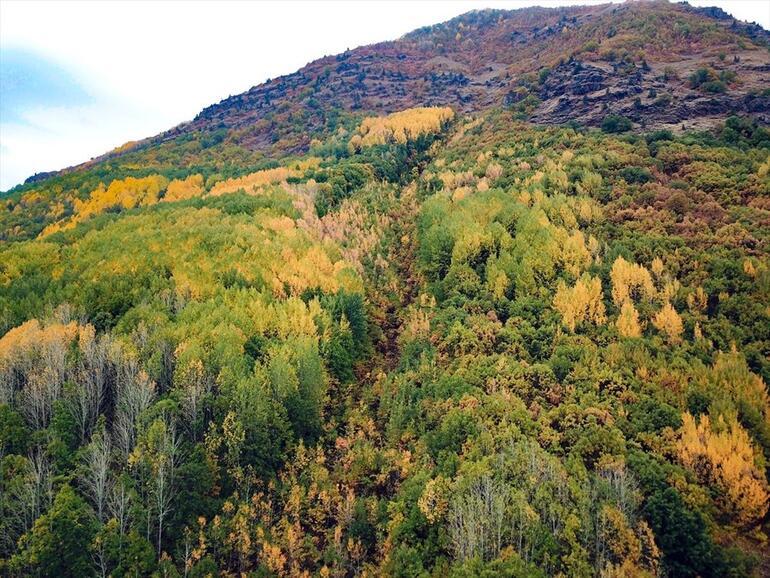Tunceli ormanları sonbahar renkleriyle bir başka güzel