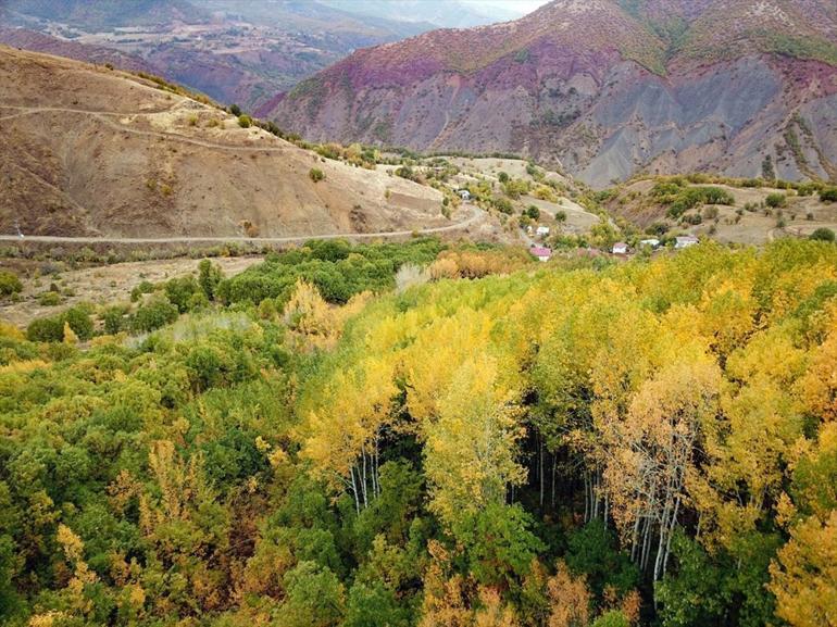 Tunceli ormanları sonbahar renkleriyle bir başka güzel