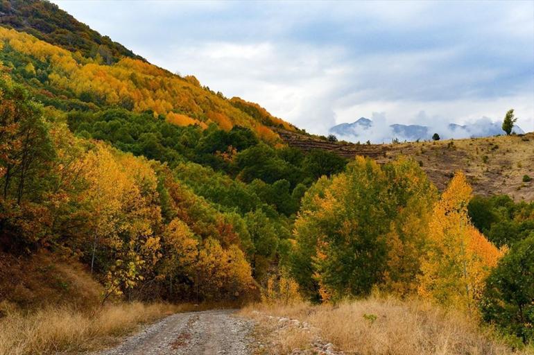 Tunceli ormanları sonbahar renkleriyle bir başka güzel