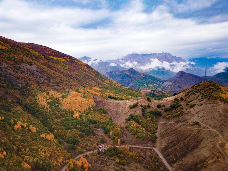 Tunceli ormanları sonbahar renkleriyle bir başka güzel