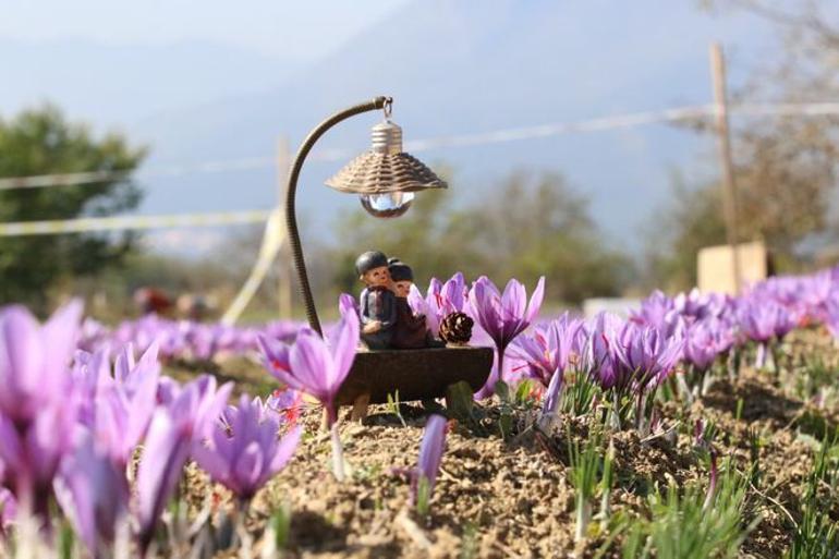 Safranbolu fotoğraf tutkunlarının gözdesi oldu