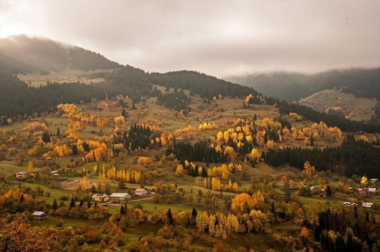 Artvin sonbaharda fotoğraf tutkunlarını cezbediyor