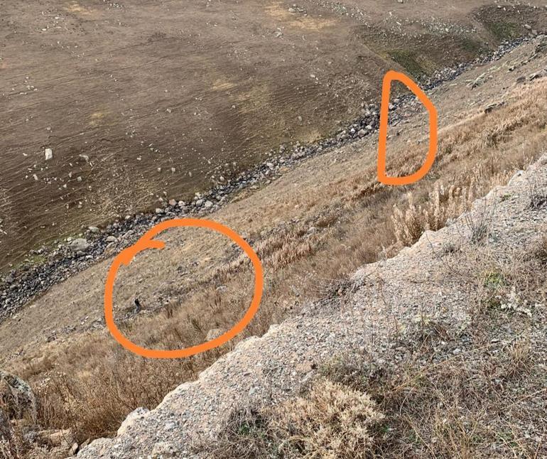 Ayı saldırdı, canını kurtarmak için öyle bir şey yaptı ki...