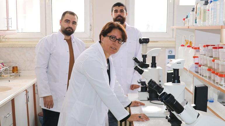 İthal mikrobiyal gübrelerin testleri Van'da yapılıyor