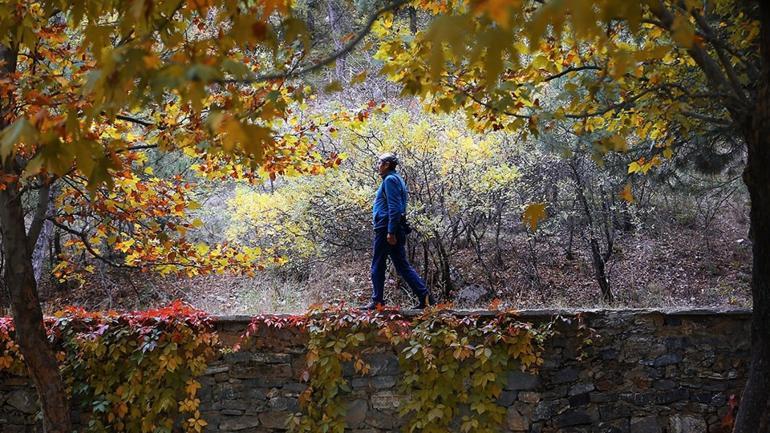 Kuğulu Milli Parkı sonbahar görüntüsüyle büyülüyor