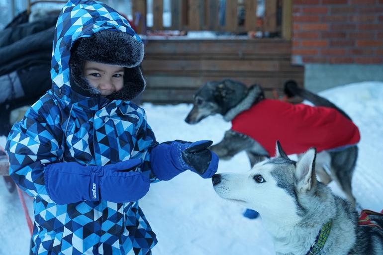 Kuzey ışıkları turunu ucuza getireceğiniz 10 madde