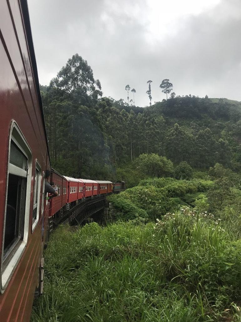 Hayatın tüm renkleri Sri Lanka’da!