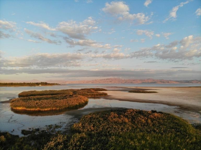 Erciş, sonbaharda fotoğraf tutkunlarının uğrak mekanı oldu