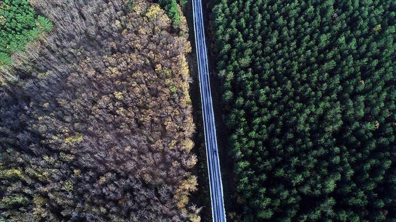 Doğa turizminin gözdesi Kırklareli  şu sıralar görsel şölen sunuyor