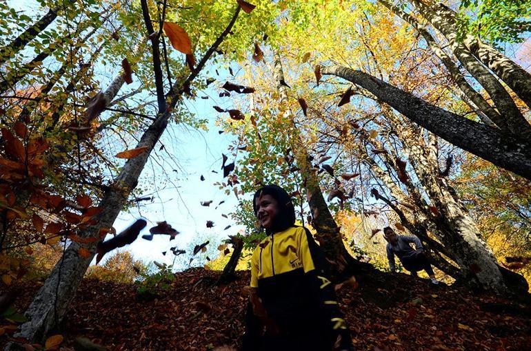 Doğa turizminin gözdesi Kırklareli  şu sıralar görsel şölen sunuyor