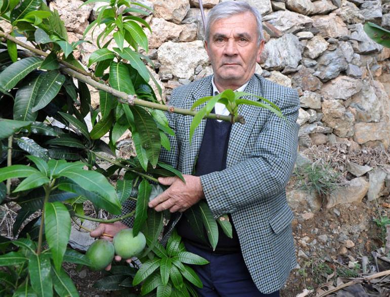Deneme amaçlı yaptı! 45 bin lira kazandı