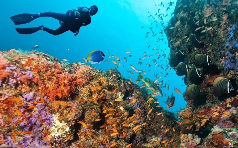 Yeryüzünde mavi bir cennet: Maldivler