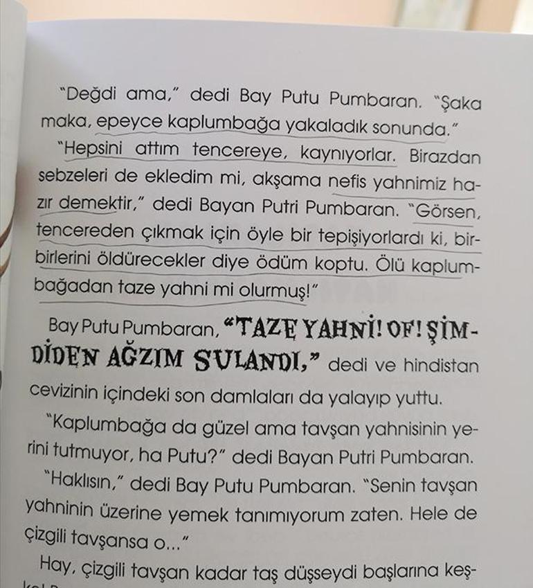 Bir Cocuk Kitabinda Can Cekistirerek Kaplumbaga Haslamak Omur Kurt Kose Yazilari