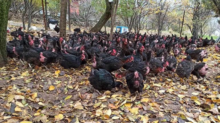 İşsiz kaldı, kendi imkanları ile kurdu! Şimdi siparişlere yetişemiyor