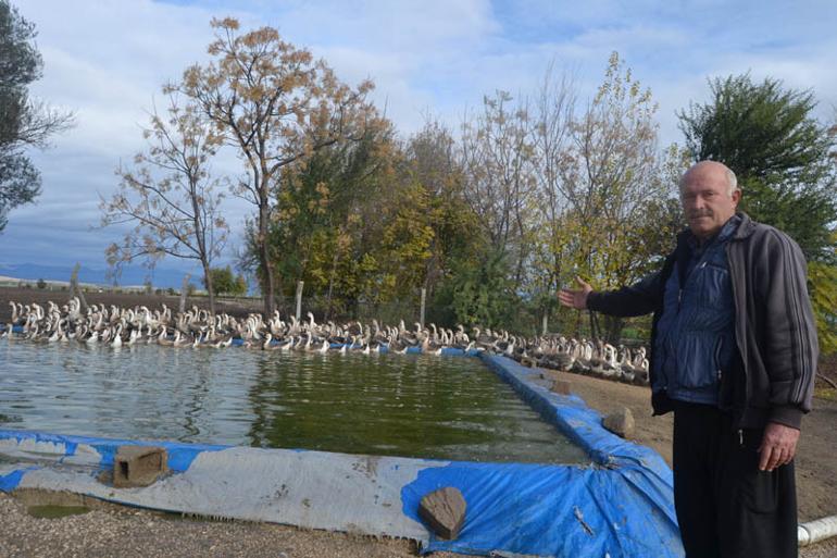 İnternetten ek iş araştırdı! Şimdi sezonda 100 bin TL kazanıyor