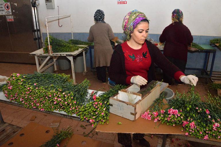 Antalya'da yapılıyor! 27 Avrupa ülkesine gönderiliyor