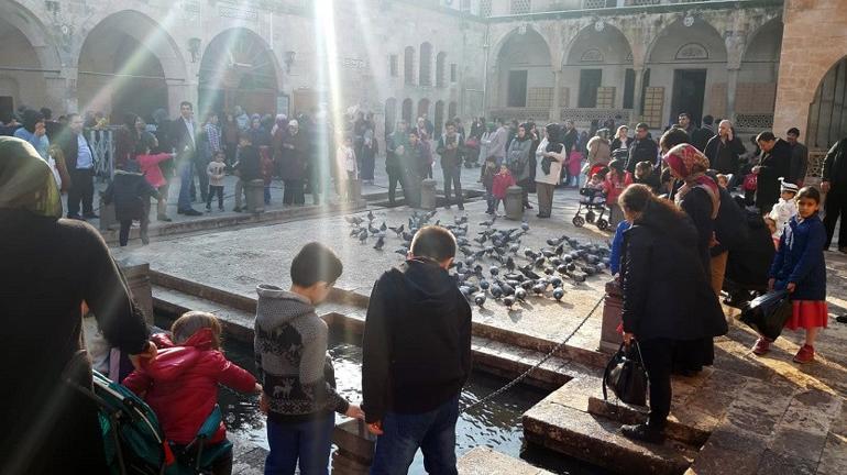 Şanlıurfa’nın en önemli tarihi ve turistik mekanı: Balıklıgöl