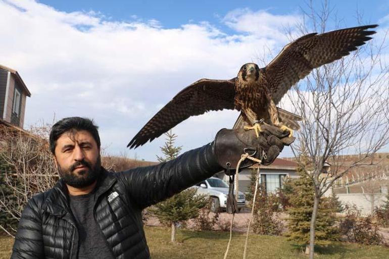 Almanya'dan özel olarak getirtti! Bir otomobil parası harcadı