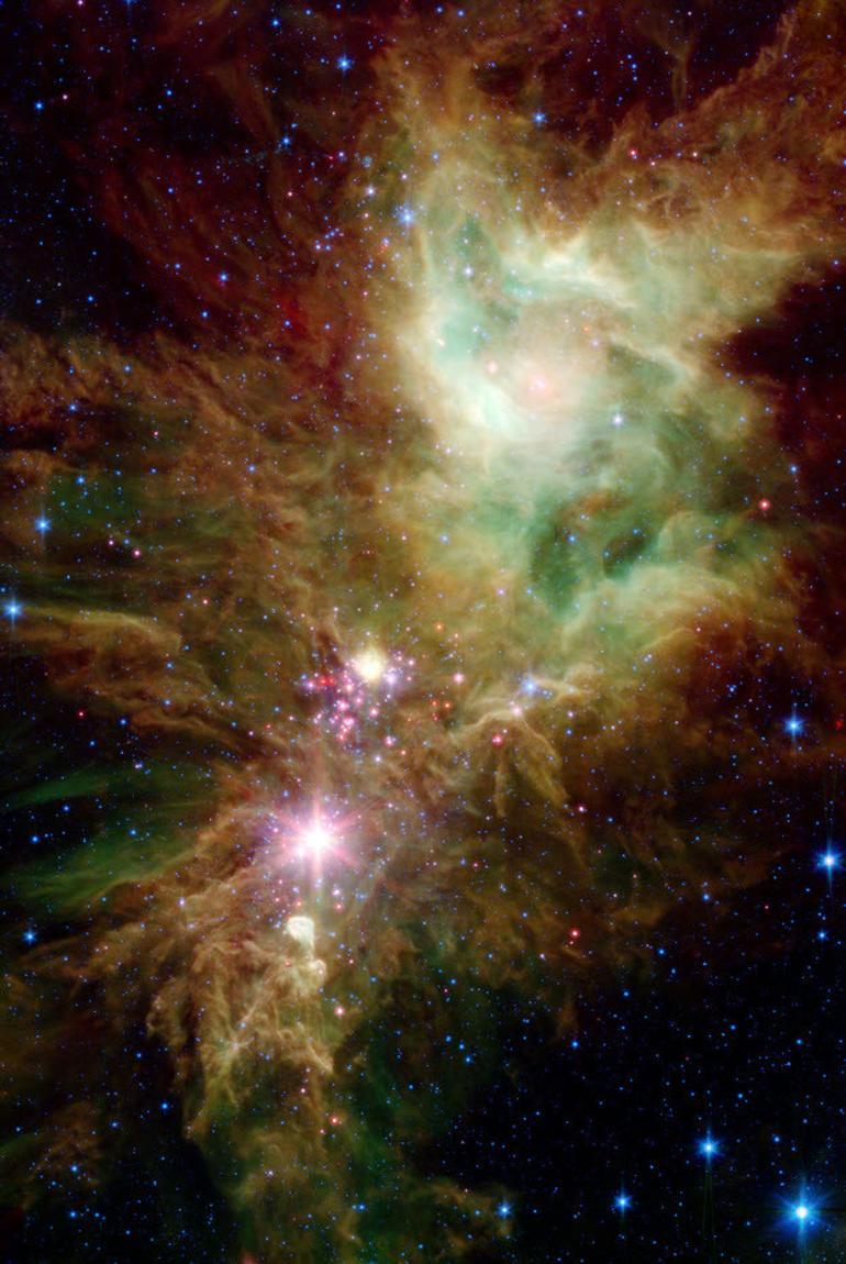 NASA'nın Spitzer Teleskobu Yılbaşı Ağacı Yıldız Kümesi'ni fotoğrafladı