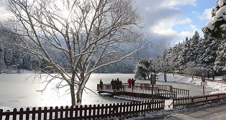 Gölcük Tabiat Parkı'ndaki göl buz tuttu