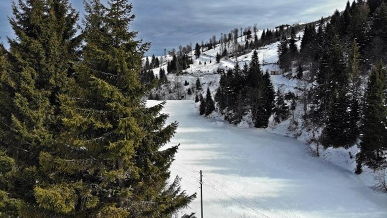 Trabzon'daki Balıklıgöl dondu