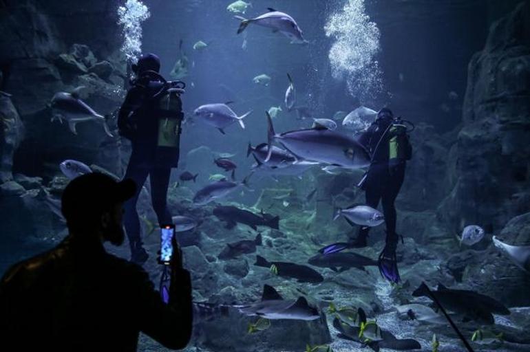 Sömestir tatilinde çocuklar İstanbul Akvaryum'a akın etti