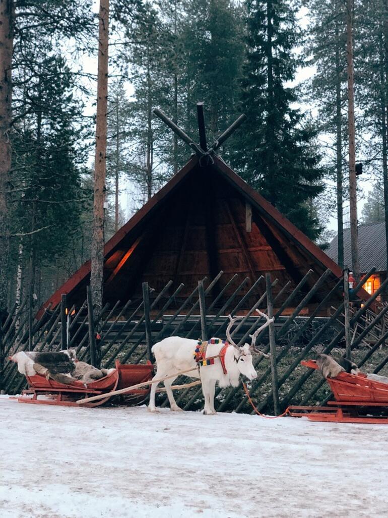 Masallardan fırlama bir kış tatili rotası: Lapland