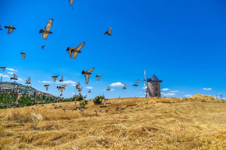 Yarıyıl tatilinde Ankara’da çocuklarla gezilebilecek müzeler
