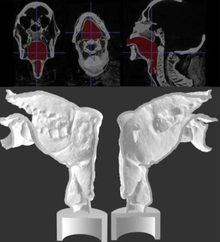 3 bin yıllık mumyanın sesi hayata döndürüldü