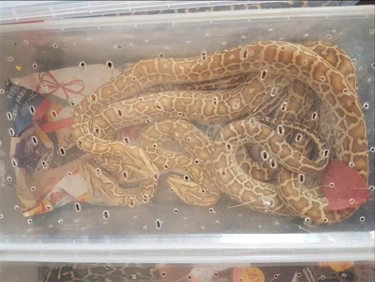 Edirnede inanılmaz olay Kamyonetin kapısını açınca şoke oldular