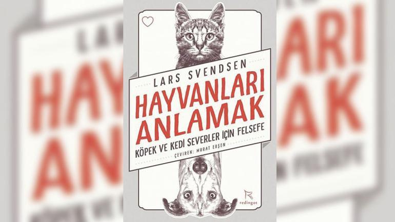 Sakin Ol Ve Kedini Kopegini Yavasca Yere Birak Serhat Demirel Kose Yazilari