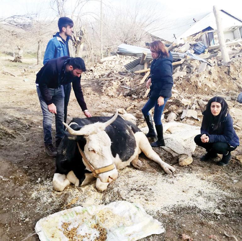 Hayvanların iyilik meleği