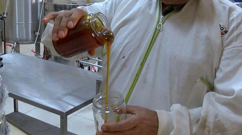 Bu da maydanoz balı İlgi görmeyince atlara yediriliyor