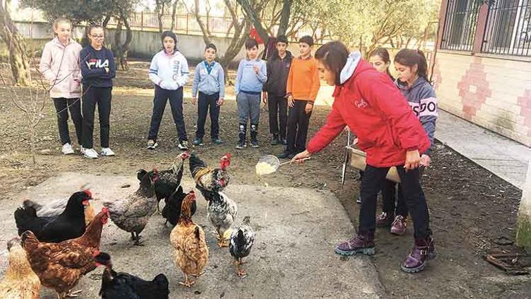 Pergel’in dostları okullarda