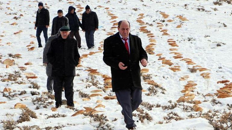 Doğaya 2001 ekmek bırakıp dua ettiler... Nedeni ise...