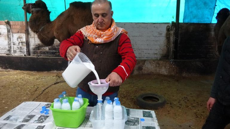 Kilosu 100 TL! Yoğun talep var