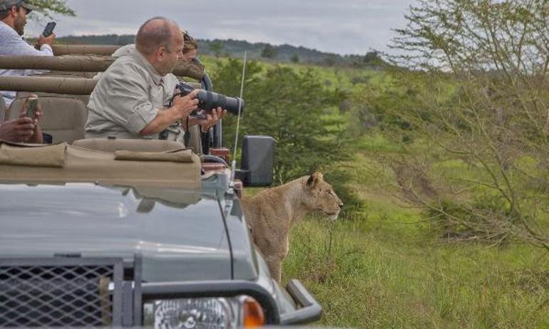 Yaban hayatı fotoğrafçılarının Güney Afrika'daki tehlikeli yolculuğu