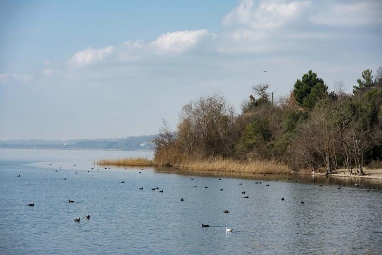 Masal diyarlarını andıran güzelliğiyle Serdivan Göl Park