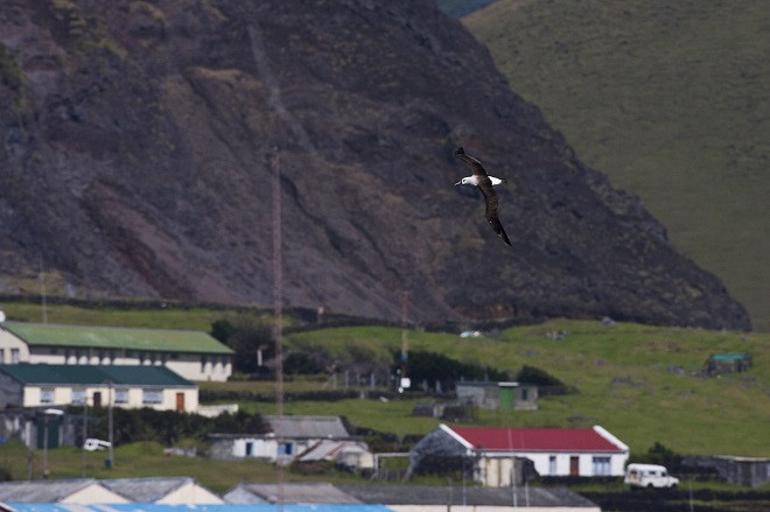 Dünyanın en yalnız adası Tristan-Cunha