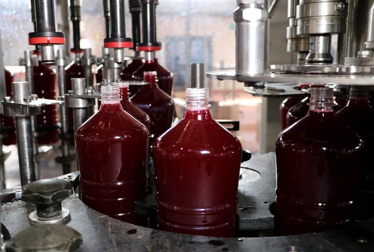 Adanadan çıkıyor 46 ülkeye ihraç ediliyor