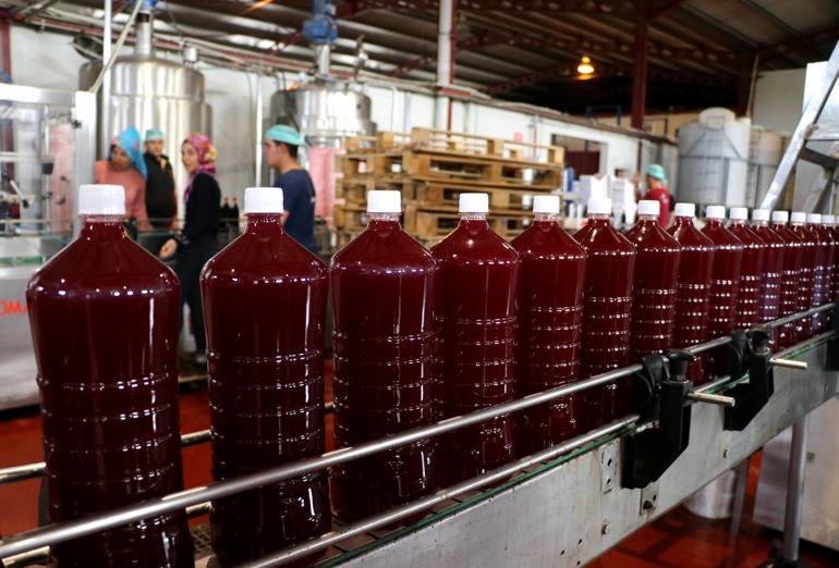 Adanadan çıkıyor 46 ülkeye ihraç ediliyor