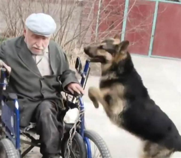 Köpek, sahibinin yol arkadaşı oldu