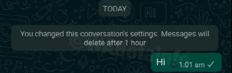 WhatsApp'ta yolladığınız mesaj kendini imha edecek