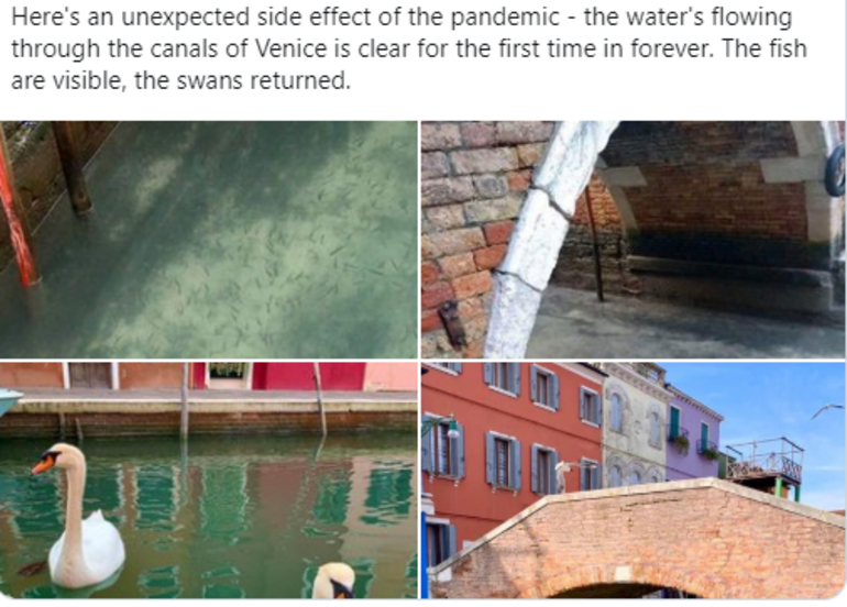 Corona virüs karantinasının ardından İtalya'da hava ve su temizlendi