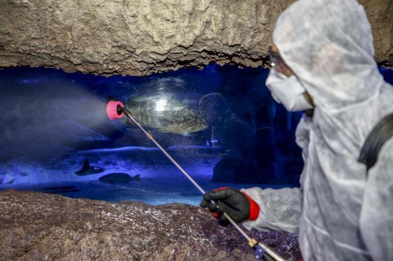 Antalya Akvaryum'da dezenfekte işlemi yapıldı