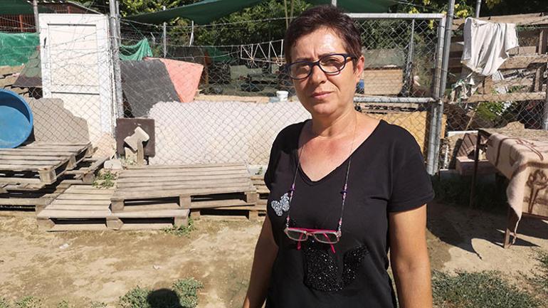 Poşette kafası kesilmiş köpek ölüsü bulundu